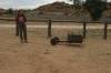 2004_05_13_004_OZ_Alice Springs_.jpg